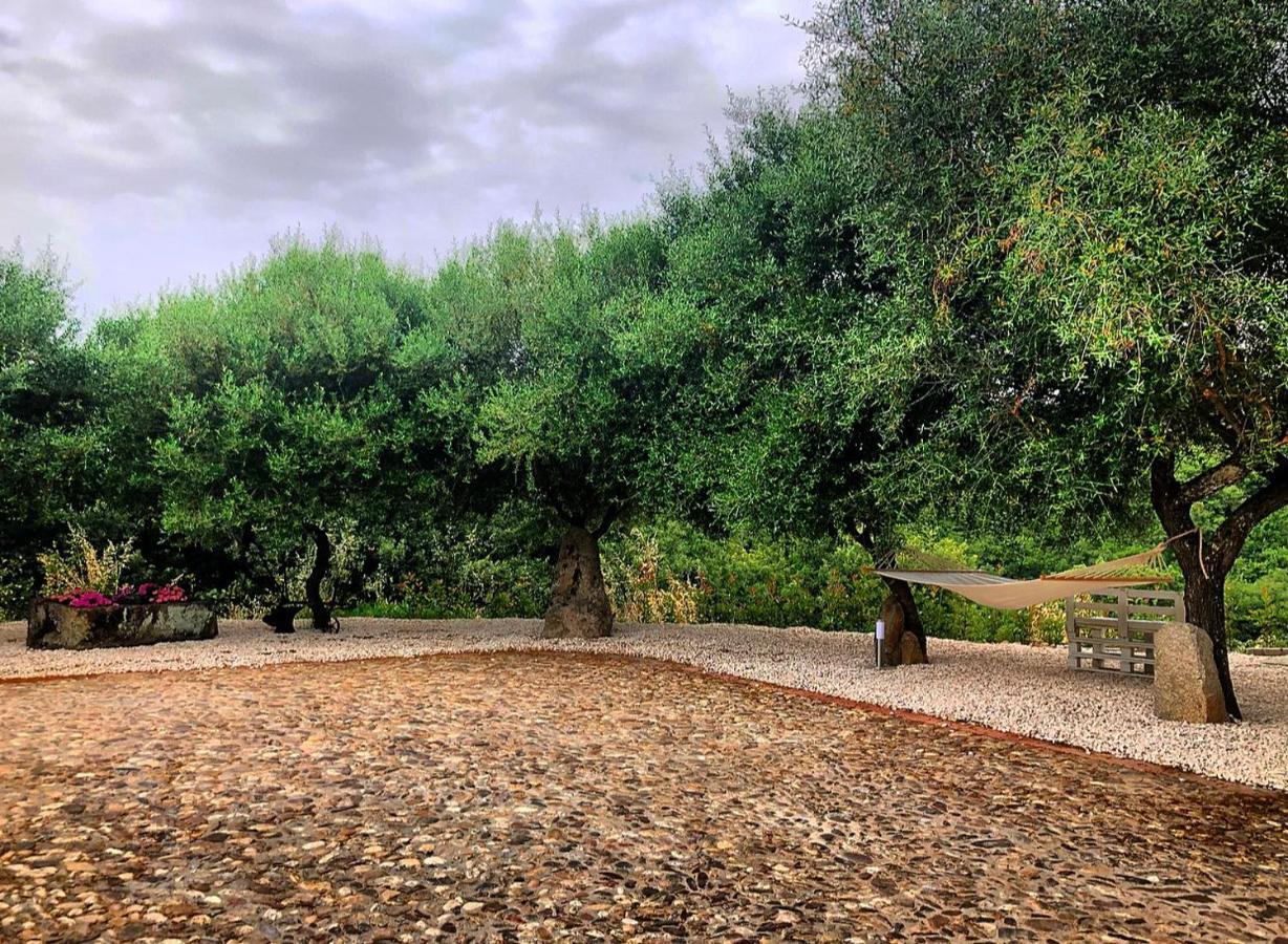 Casa Vacanza Centro Sardegna Sorgono Dış mekan fotoğraf
