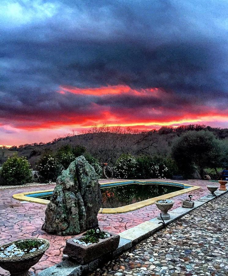 Casa Vacanza Centro Sardegna Sorgono Dış mekan fotoğraf