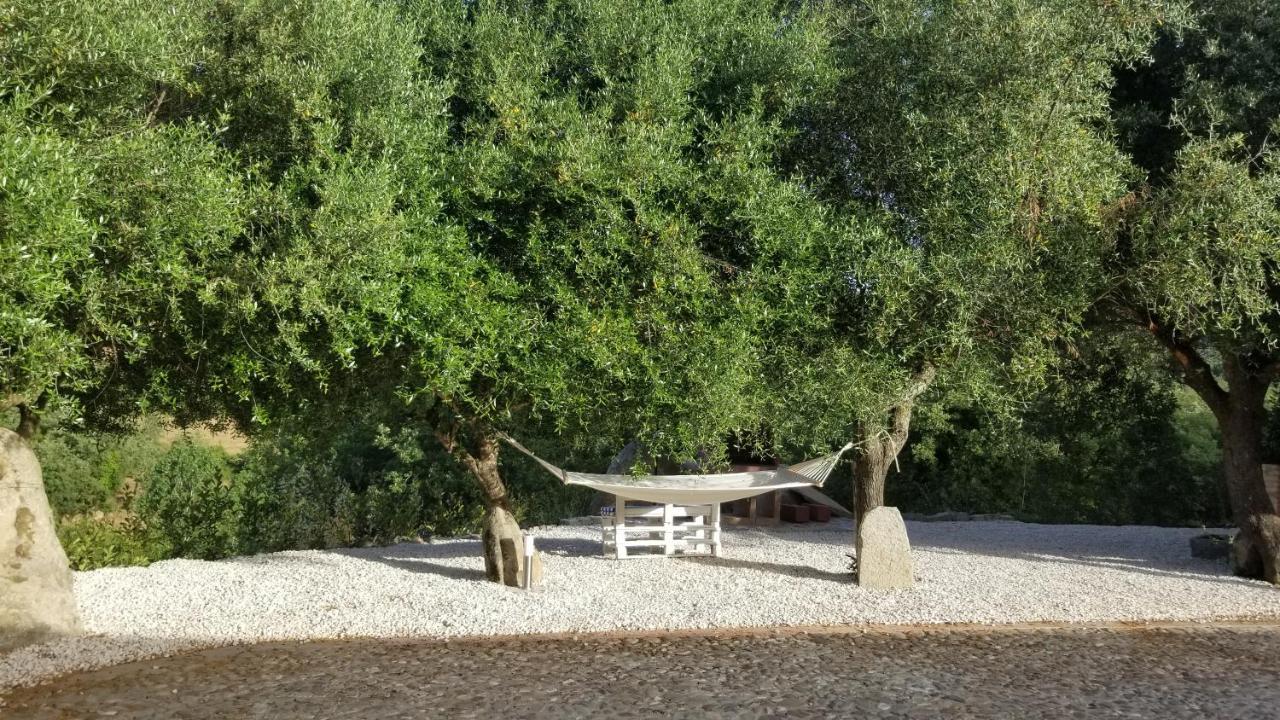 Casa Vacanza Centro Sardegna Sorgono Dış mekan fotoğraf