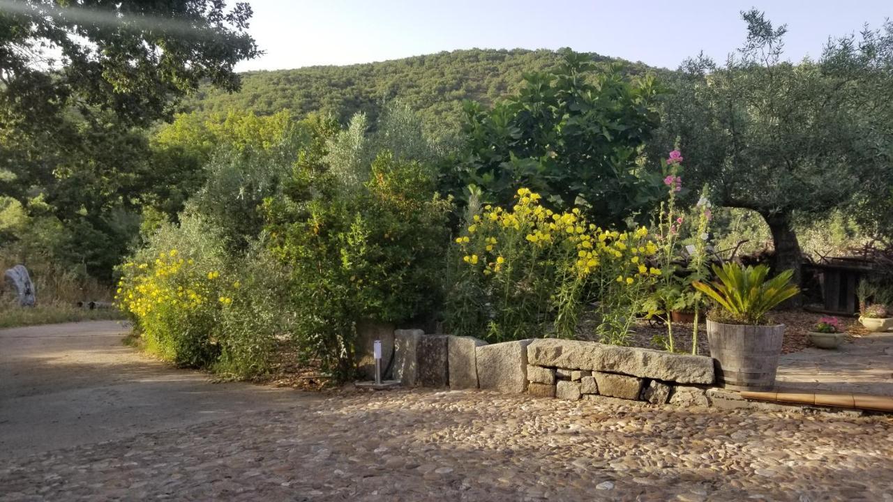 Casa Vacanza Centro Sardegna Sorgono Dış mekan fotoğraf