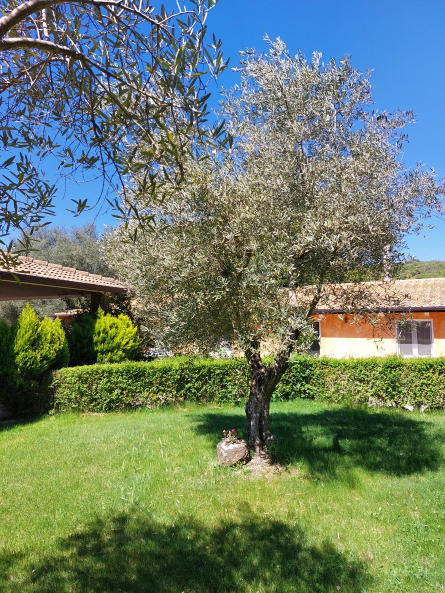 Casa Vacanza Centro Sardegna Sorgono Dış mekan fotoğraf