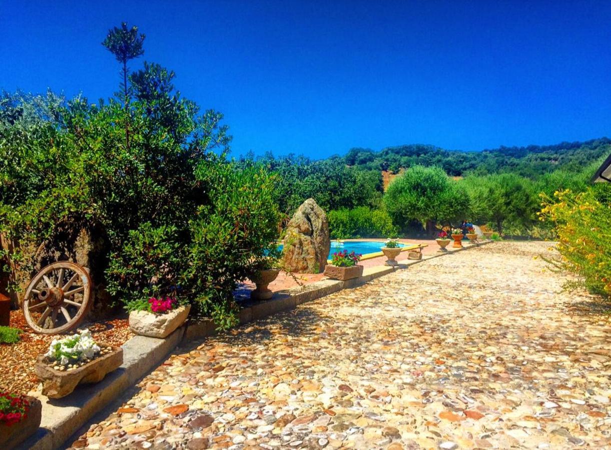 Casa Vacanza Centro Sardegna Sorgono Dış mekan fotoğraf