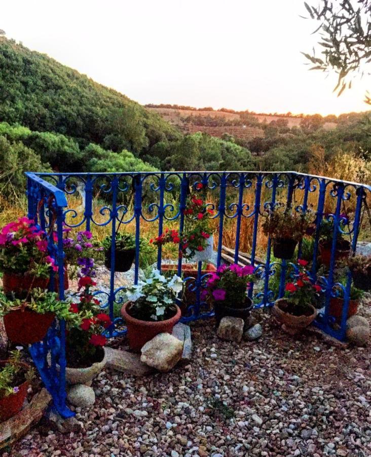 Casa Vacanza Centro Sardegna Sorgono Dış mekan fotoğraf