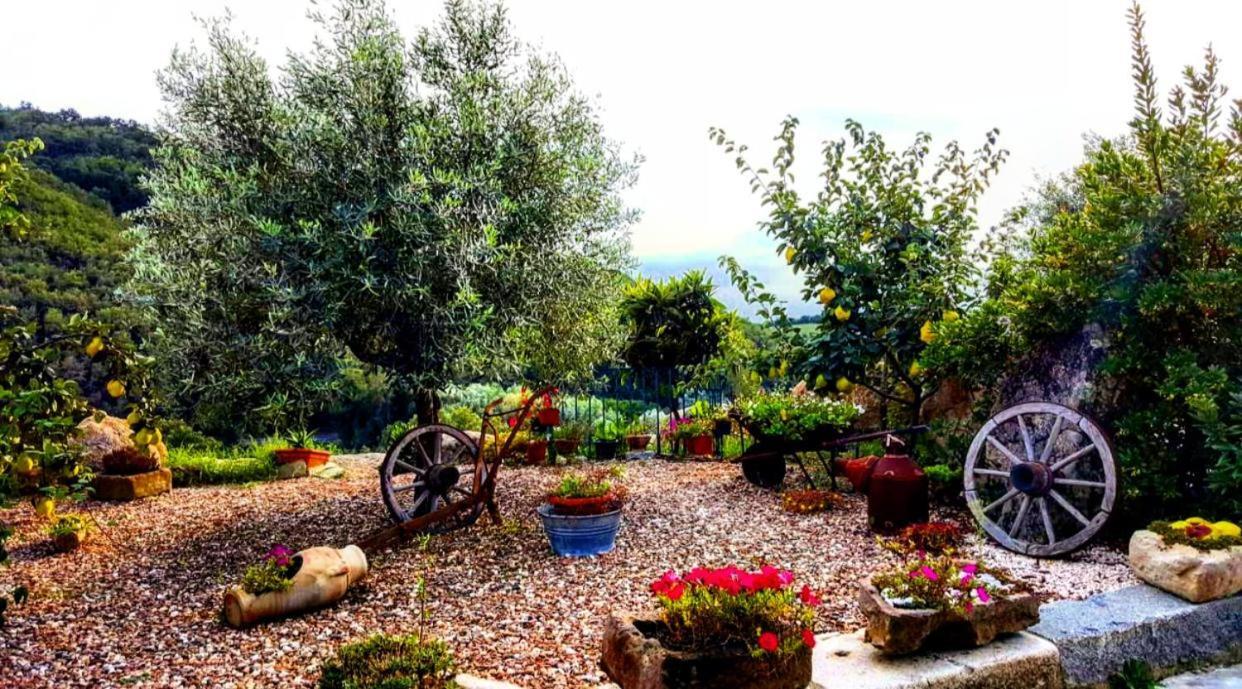 Casa Vacanza Centro Sardegna Sorgono Dış mekan fotoğraf